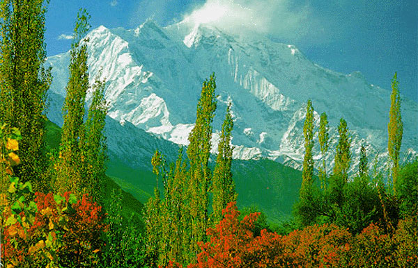 Rakaposhi Peak 7788 M Karakoram Pakistan